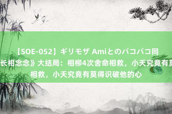 【SOE-052】ギリモザ Amiとのパコパコ同棲生活 Ami 《长相念念》大结局：相柳4次舍命相救，小夭究竟有莫得识破他的心