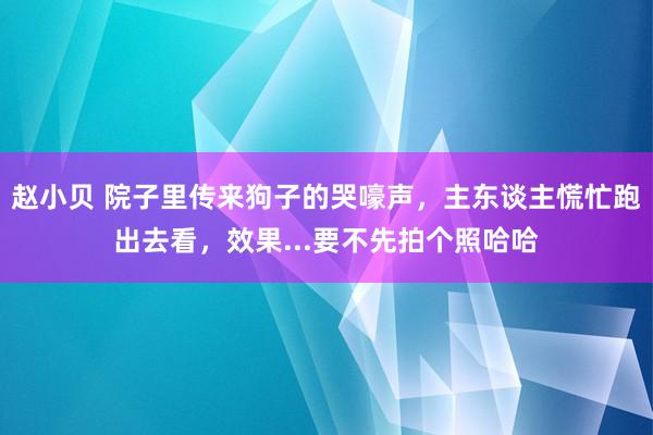 赵小贝 院子里传来狗子的哭嚎声，主东谈主慌忙跑出去看，效果...要不先拍个照哈哈