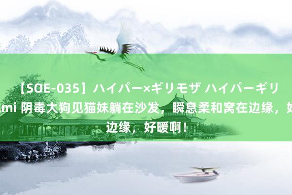 【SOE-035】ハイパー×ギリモザ ハイパーギリモザ Ami 阴毒大狗见猫妹躺在沙发，瞬息柔和窝在边缘，好暖啊！