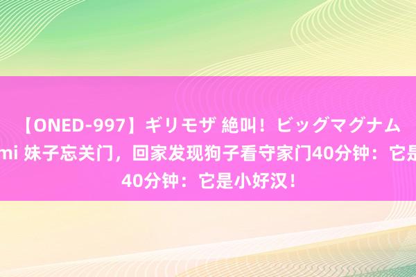 【ONED-997】ギリモザ 絶叫！ビッグマグナムFUCK Ami 妹子忘关门，回家发现狗子看守家门40分钟：它是小好汉！