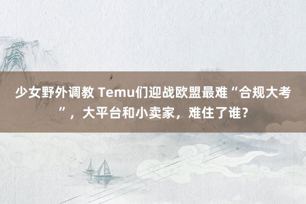 少女野外调教 Temu们迎战欧盟最难“合规大考”，大平台和小卖家，难住了谁？