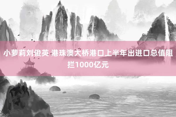 小萝莉刘俊英 港珠澳大桥港口上半年出进口总值阻拦1000亿元