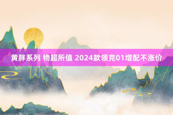 黄胖系列 物超所值 2024款领克01增配不涨价