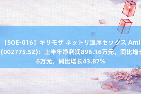 【SOE-016】ギリモザ ネットリ濃厚セックス Ami 文科股份(002775.SZ)：上半年净利润896.16万元，同比增长43.87%