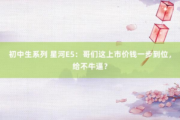 初中生系列 星河E5：哥们这上市价钱一步到位，给不牛逼？