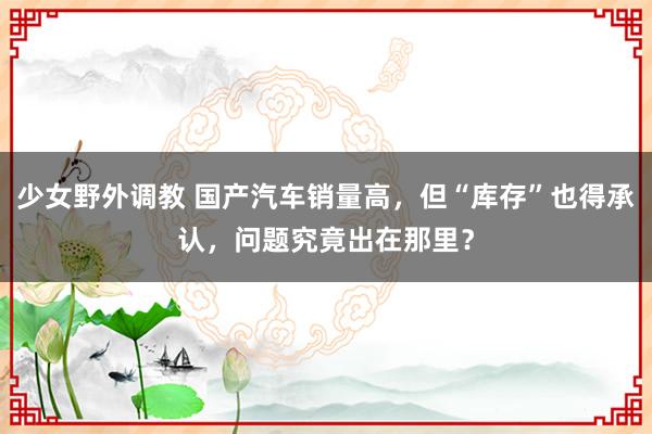 少女野外调教 国产汽车销量高，但“库存”也得承认，问题究竟出在那里？