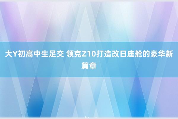 大Y初高中生足交 领克Z10打造改日座舱的豪华新篇章