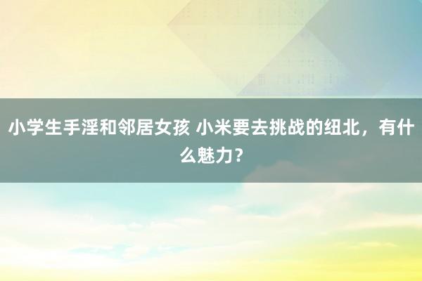 小学生手淫和邻居女孩 小米要去挑战的纽北，有什么魅力？