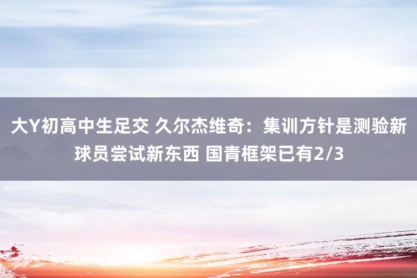 大Y初高中生足交 久尔杰维奇：集训方针是测验新球员尝试新东西 国青框架已有2/3