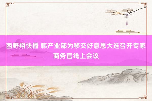 西野翔快播 韩产业部为移交好意思大选召开专家商务官线上会议