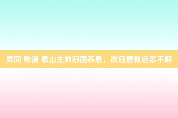 男同 動漫 泰山主帅归国养息，改日握教远景不解