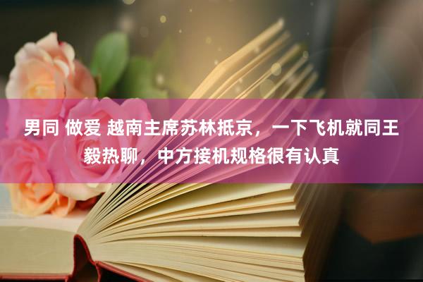 男同 做爱 越南主席苏林抵京，一下飞机就同王毅热聊，中方接机规格很有认真