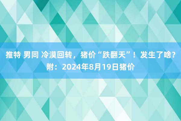 推特 男同 冷漠回转，猪价“跌翻天”！发生了啥？附：2024年8月19日猪价