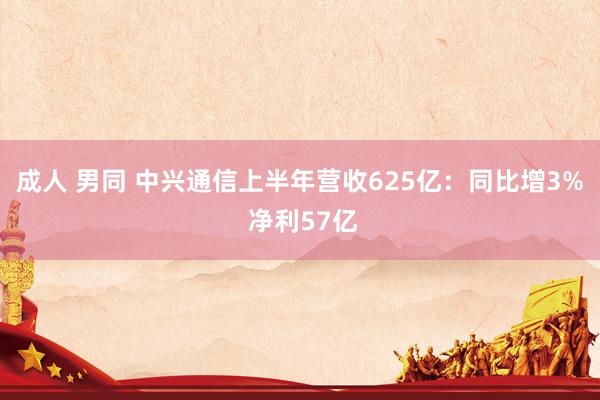 成人 男同 中兴通信上半年营收625亿：同比增3% 净利57亿